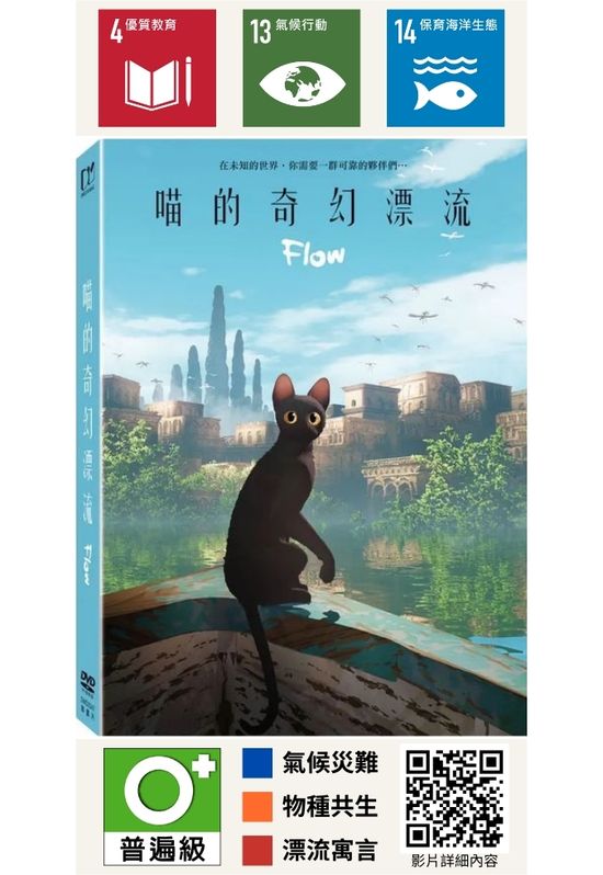 喵的奇幻漂流